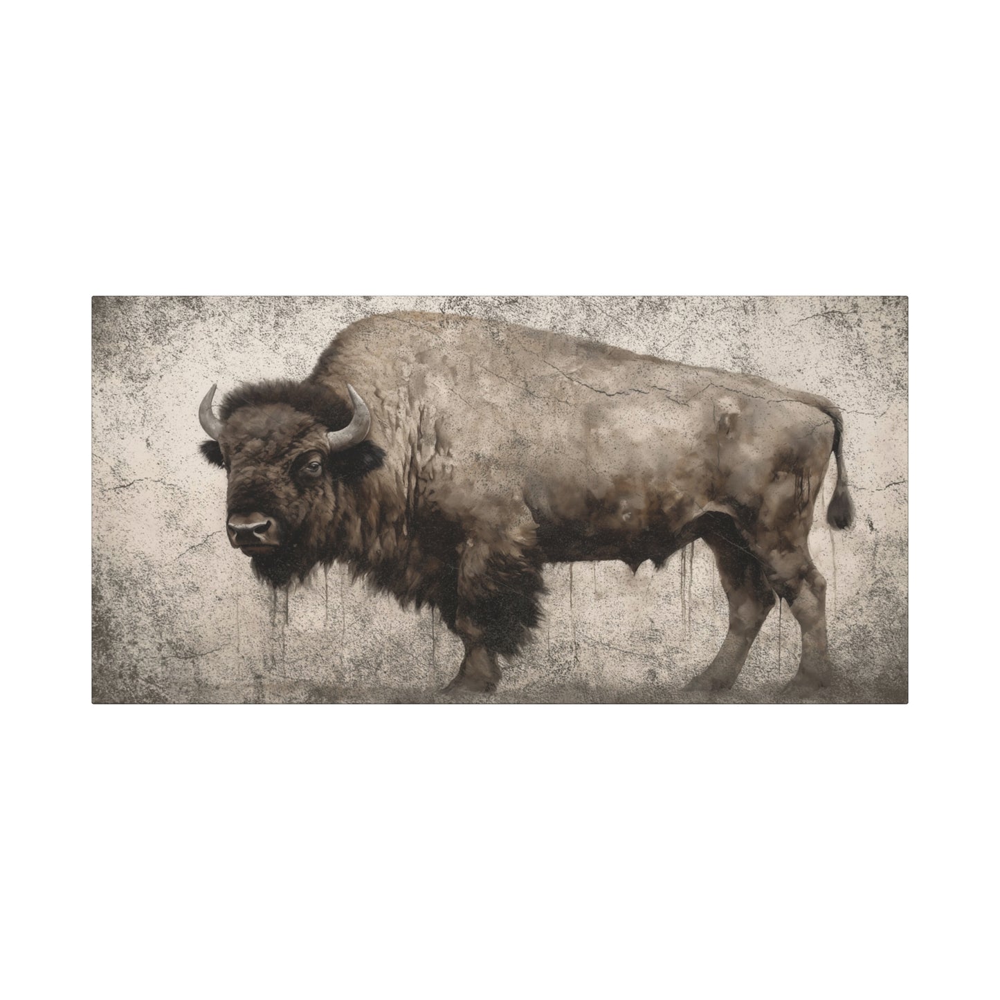 Bison