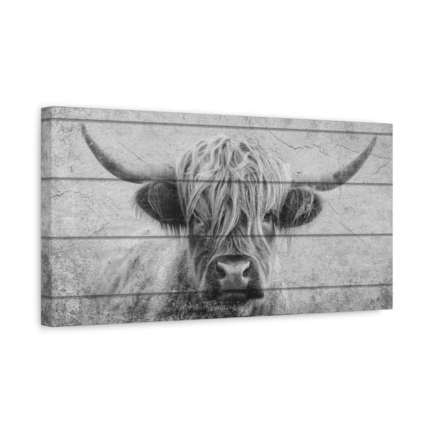 Highland Cow - Black & White - Plank