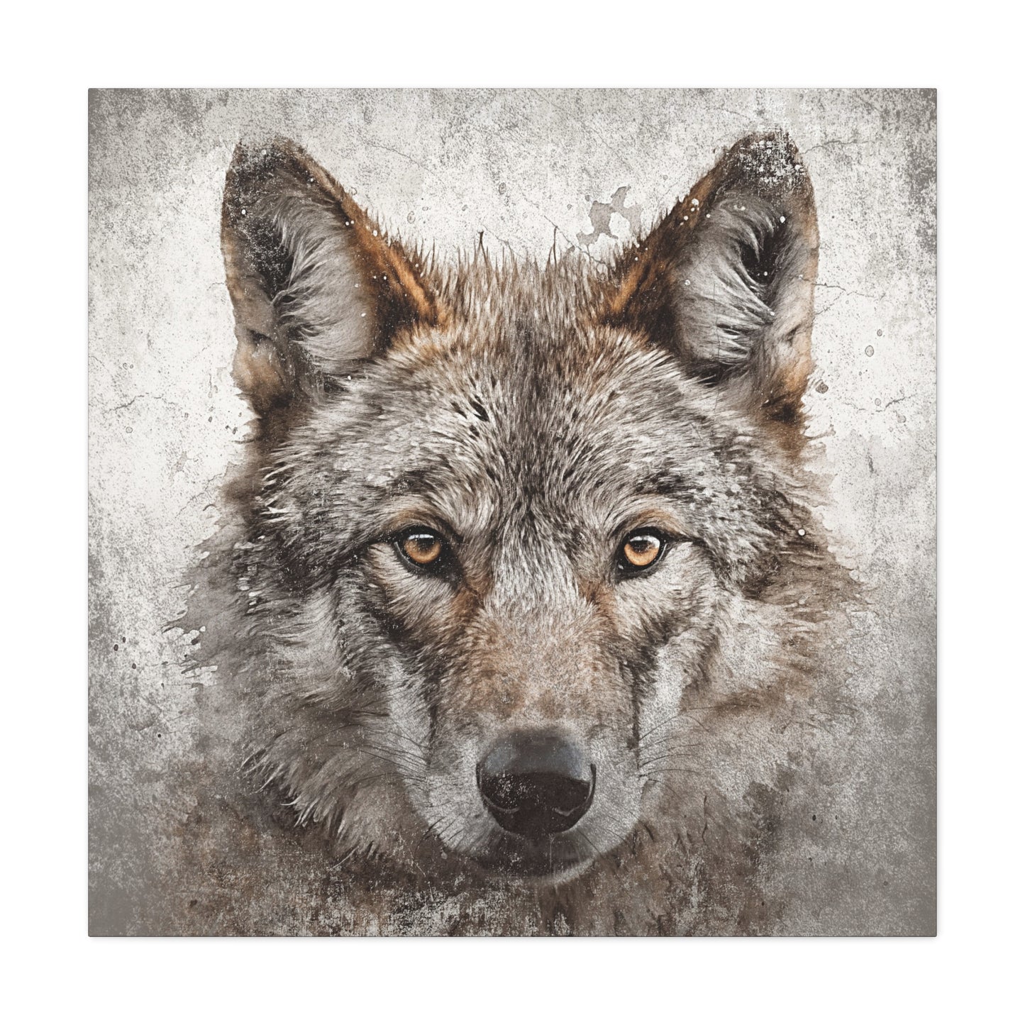 Wolf Stare