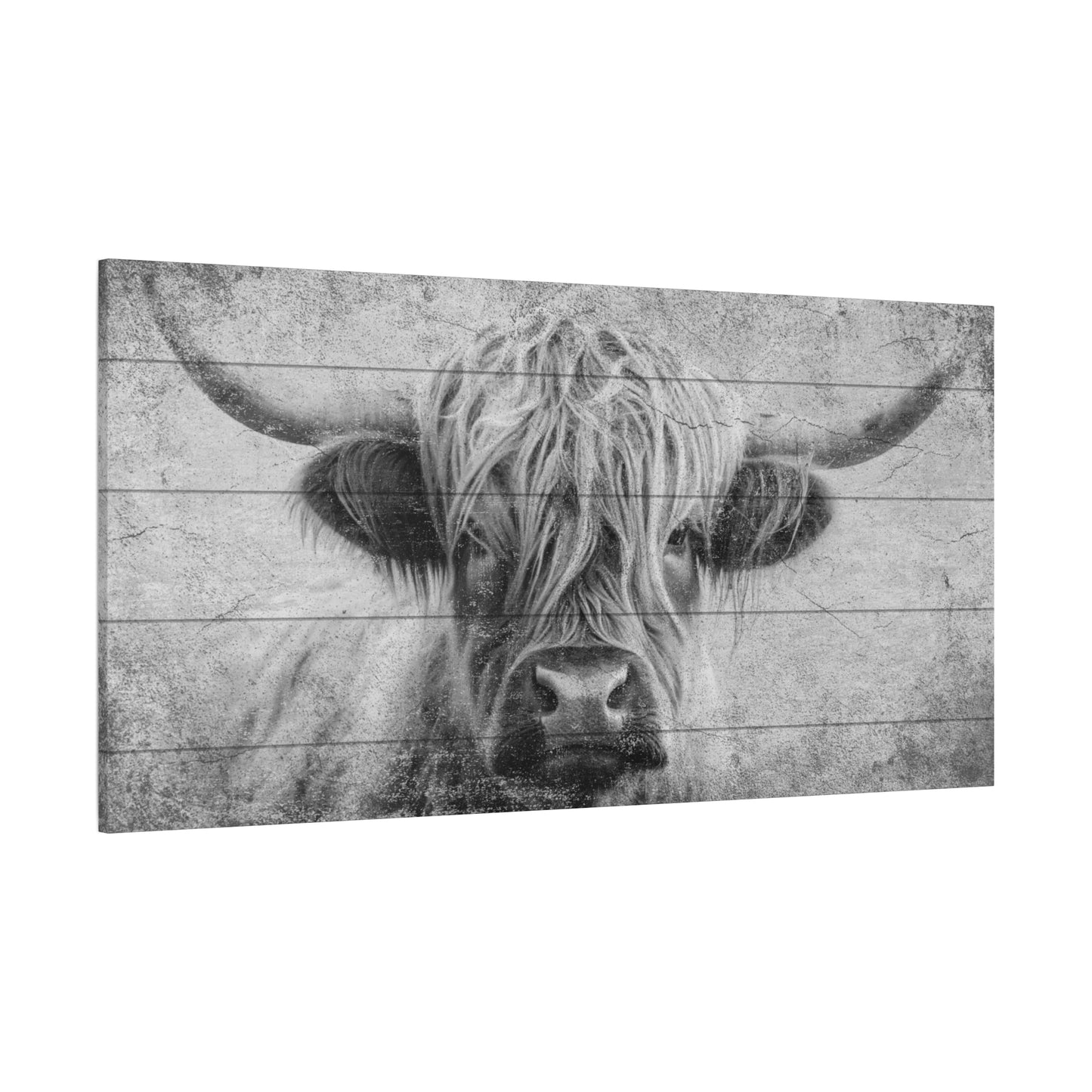 Highland Cow - Black & White - Plank